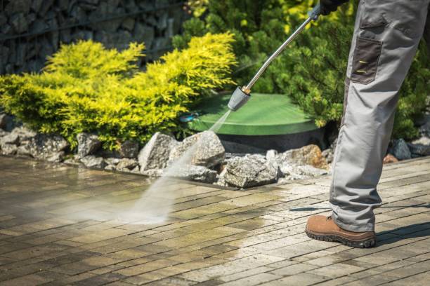 Best Solar Panel Cleaning  in Crafton, PA